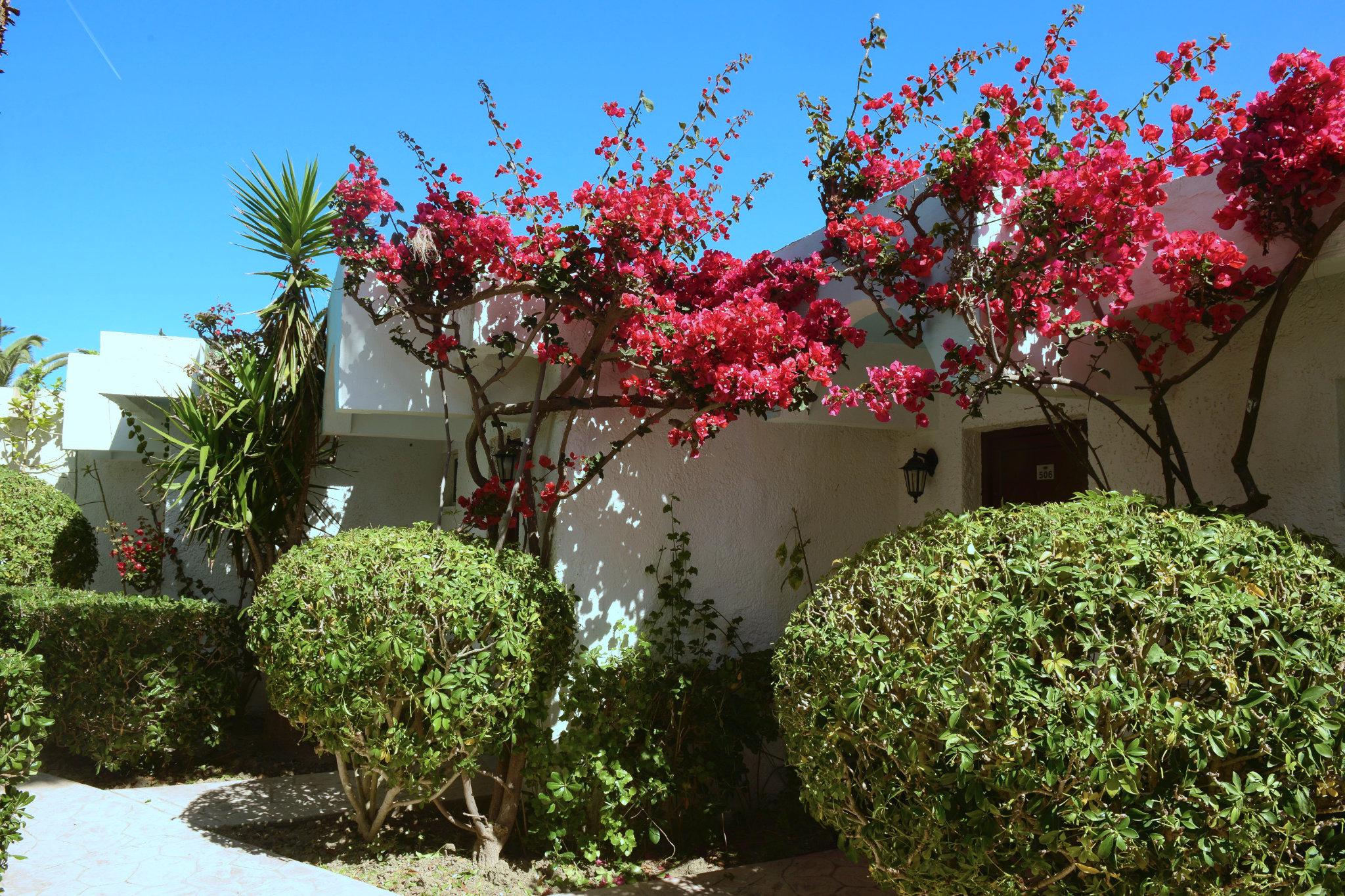Hotel Blue Horizon Ialisos Exterior foto