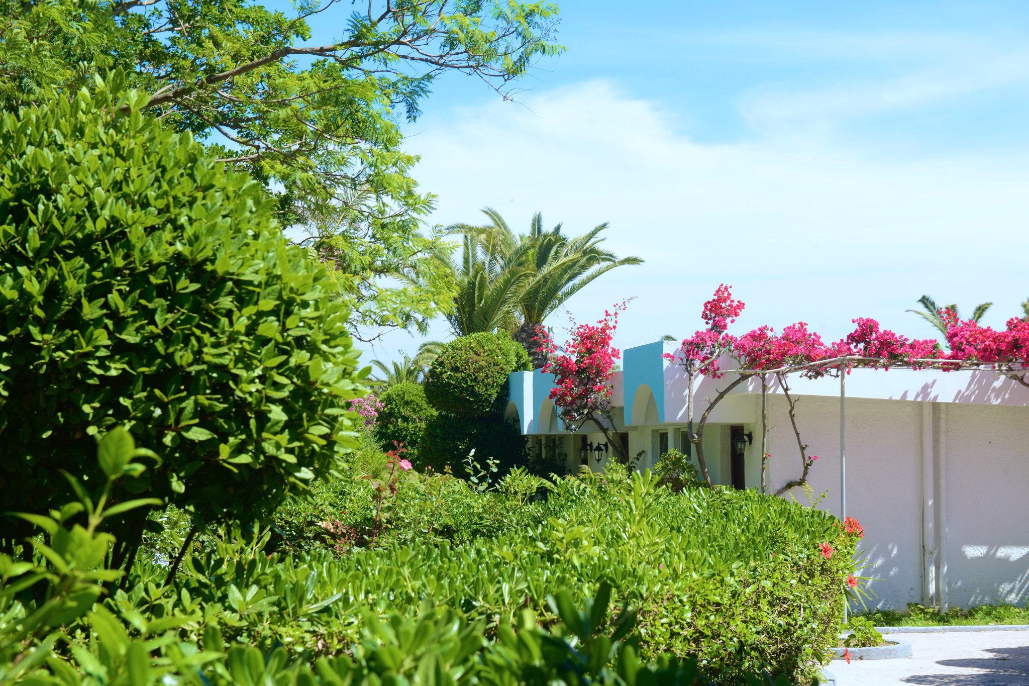 Hotel Blue Horizon Ialisos Exterior foto